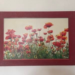 Quadro con papaveri