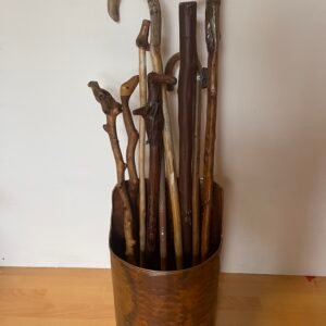 Collezione di bastoni da passeggio con contenitore vintage