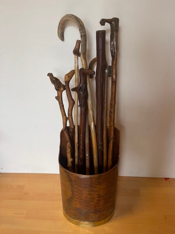 Collezione di bastoni da passeggio con contenitore vintage