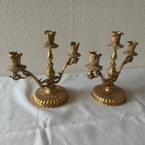 Coppia di candelabri Rococò in bronzo dorato